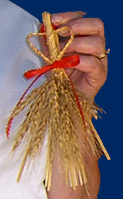 wheatthing.png
