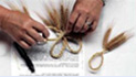 handscraft.png
